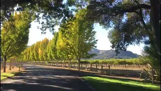 Far Niente Winery Napa Valley California