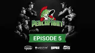 Perch Fight 2018 - Episode 5
