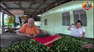 Presyong 1800 per bag ng calamansi bumaba ng kaunti