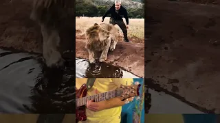 Scaring a Lion is not a good idea 🦁