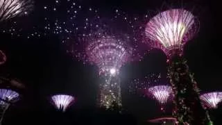 Singapore Gardens by the Bay Light Show
