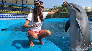 Парк развлечений Винперл. Вьетнам Фукуок. Как искупаться с дельфинами бесплатно?!