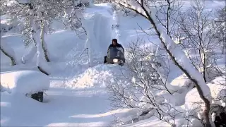 Yamaha Viking powder..