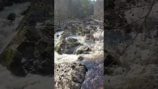 Falls of Feugh, near Banchory - Aberdeenshire