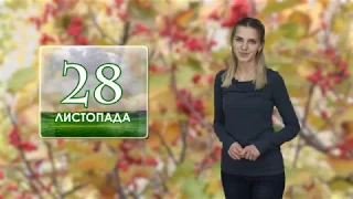 Погода на 28 листопада