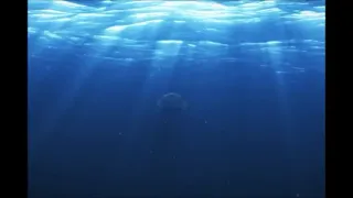 shark eats the cameraman