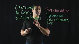 Cartilaginous Joints