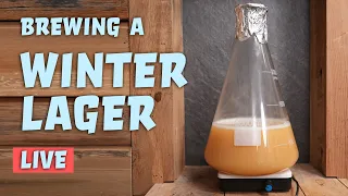 Brewing a Winter Lager - LIVE