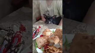 Я не хочу облизывать пальцы 😡🐕😍😂🤗