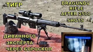 тигр диванного эксперта после 2500  выстрелов  /dragunov rifle in borescope with english subtitles