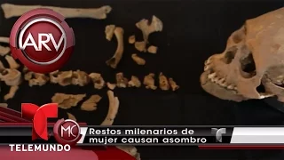 Estudian mujer que vivió hace 600 mil años | Al Rojo Vivo | Telemundo