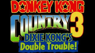 Big Boss Blues - Donkey Kong Country 3: Dixie Kong's Double Trouble! (SNES) Music Extended
