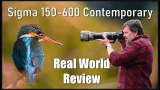 Sigma 150-600 Contemporary. Review after 40.000 Photos. Is this the Best Lens?