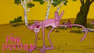 Pink Panther and the Pink Flea | 35-Minute Compilation | Pink Panther Show