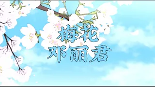 梅花《邓丽君》plum flower (Teresa Teng) with pinyin and eng lyrics