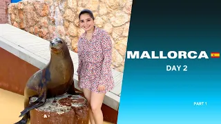 Dive into Adventure: Exploring Marineland Mallorca🐬🦭Must-See Vlog! #mallorca #vlog #dolphin #sealion