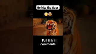 True story -The tiger killed him 🥺 #shorts #viral #youtubeshorts