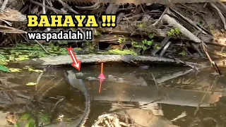 mancing ikan !! joran sampai patah tidak kuat menahan tarikan ikan Boneng