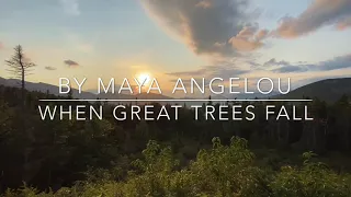 Tribute to RBG: When Great Trees Fall, a poem by Maya Angelou