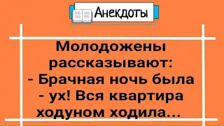 Анекдоты! Молодожены! Квартира Ходуном! Сборник Веселых Анекдотов! Юмор и Смех!