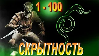 Skyrim | ГАЙД ➤ Лучший СТАРТ для Вора и Убийцы в Скайриме (как прокачаться в начале без читов)