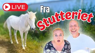 Hygge på stutteriet - Autocamperliv med Eva og Malthe DK var live!