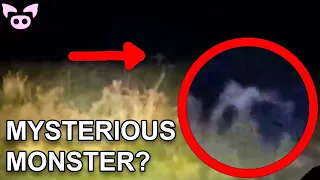 Mysterious Videos People Are Losing Their Minds Over