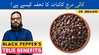 Kali Mirch Ke Faide/Fayde | Black Pepper's Benefits On Cancer, Diabetes, Fat Loss in Urdu Hindi