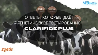 Ответы, которые даёт генетическое тестирование CLARIFIDE PLUS