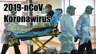 Koronawirus: czy grozi nam epidemia? Nagrania i podsumowanie informacji.