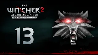 Прохождение: The Witcher 2 - Assassins of Kings | На Перепутье: Смерть Предателю | Путь: Роше [#13]