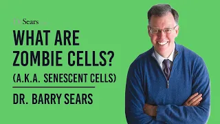 What are Zombie Cells (a.k.a. Senescent Cells)?