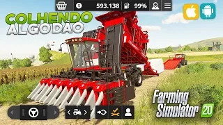 Farming Simulator 2020 - Primeira Colheita de Algodão