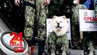 Chow Chow dressed as officer brings smiles to netizens in this Manila checkpoint | 24 Oras