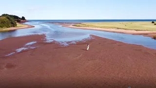 Discover and Explore Prince Edward Island, Summer in PEI