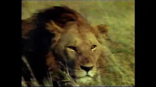 Fragile Kingdoms Ep 1 The Killer Cats (narrated by Sean Barrett) (Jan 1997)