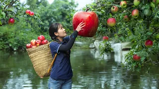 Harvesting STONE APPLE - 2 Years Alone in Forest