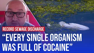 Cocaine fish: 450 years worth of sewage discharged into UK waters | LBC analysis