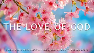 The Love Of God: Instrumental Worship, Meditation & Prayer Music with Flower Scene 💮CHRISTIAN piano