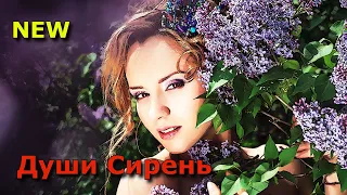 Шикарная песня! Послушайте! Души сирень!