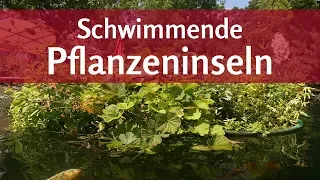 Pflanzeninseln von KOIPON®: Natürlich Algen im Teich, Sauerstoffmangel und Überhitzung vorbeugen