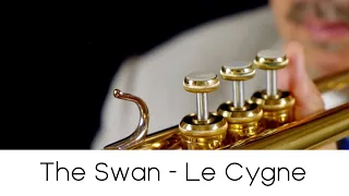 "The Swan - Le Cygne"  (Play with Me n.23) - Andrea Giuffredi