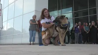 Military working dog travels from Japan to reunite with former handler