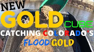 New Gold Cube Catching Colorado Flood Gold