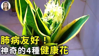 養花也能治肺病？4種常見花卉，讓家人身心更健康！|花花世界