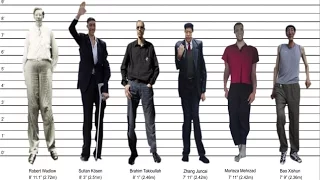 Tallest Man Ever - By Country