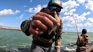 Jetty Fishing With Live Shrimp! (Catch and Cook)* Packery Channel