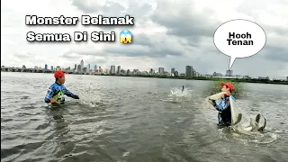 Jala Ikan Belanak Di Muara Hasilnya Babon Semua / Best Net Fishing