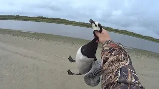 Охота на гуся.  Goose hunting. Белолобый гусь и белощекая казарка.