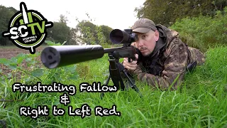 S&C TV | Frustrating fallow and right to left red | Deer management with Chris Rogers 29